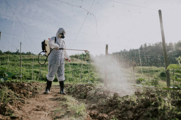 Pest Prevention Services in Monte Sereno, CA