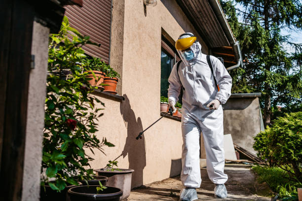 Best Rodent Control Near Me  in Monte Sereno, CA