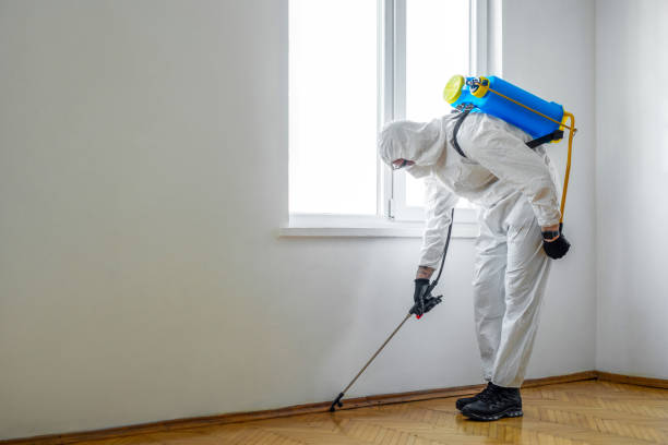 Best Best Pest Control Companies  in Monte Sereno, CA