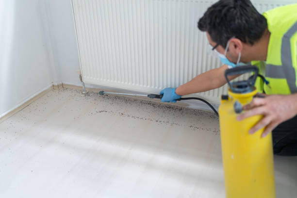 Reliable Monte Sereno, CA Pest Control Solutions
